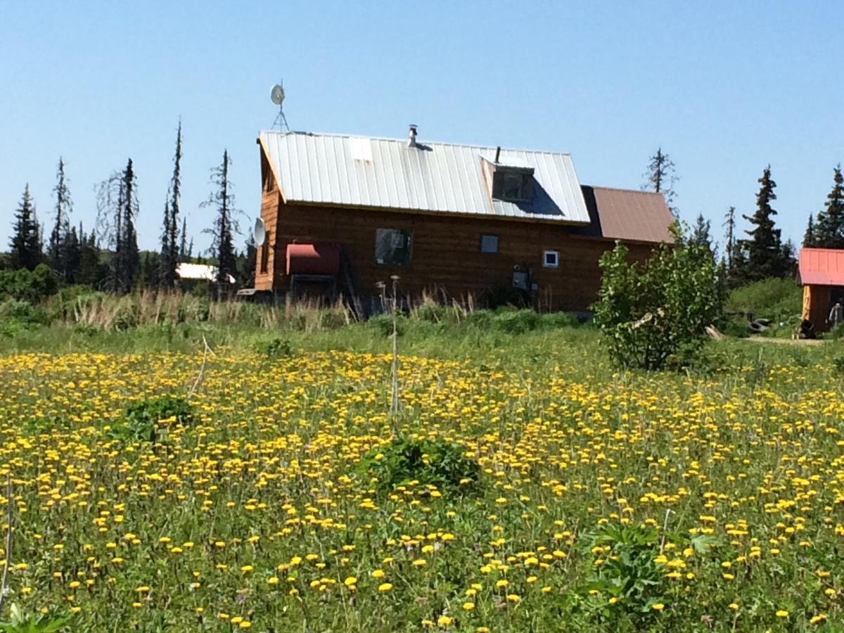 The Husky Ranch Guest House Homer Exterior photo