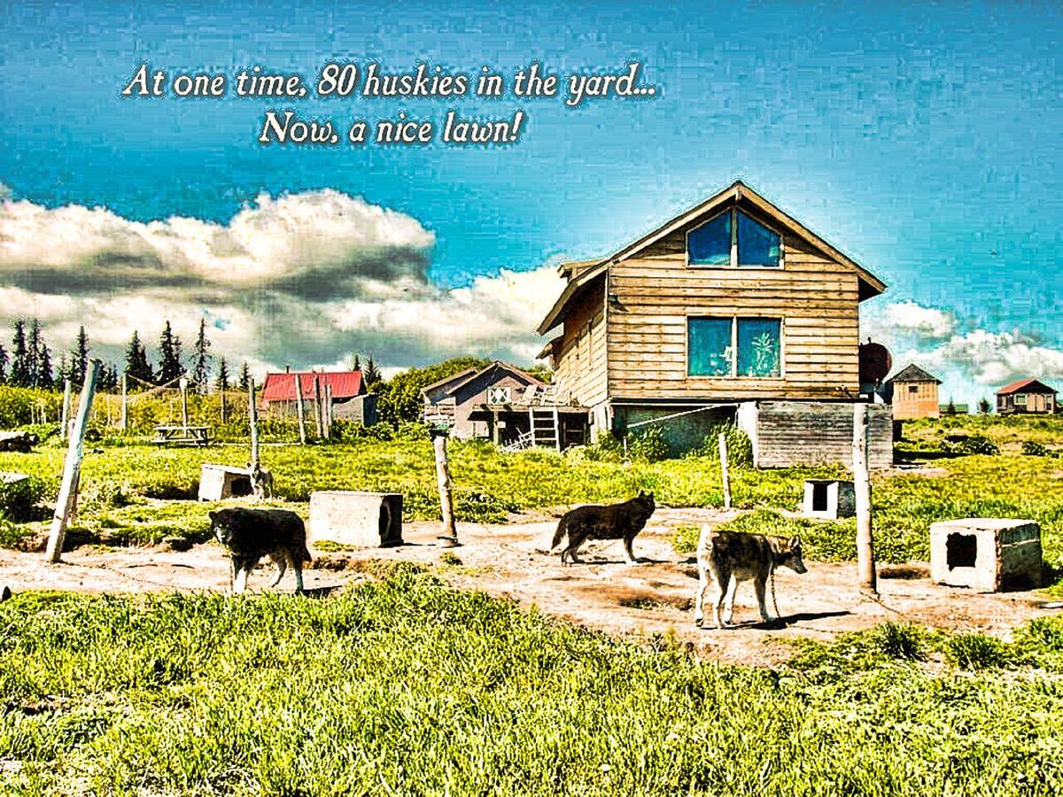 The Husky Ranch Guest House Homer Exterior photo